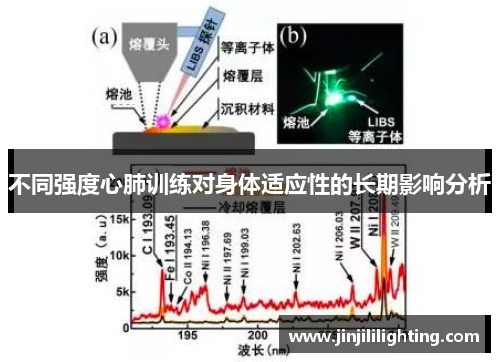 不同强度心肺训练对身体适应性的长期影响分析